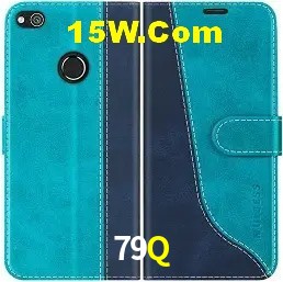 Login Seguro 79Q